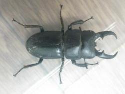 9589 B