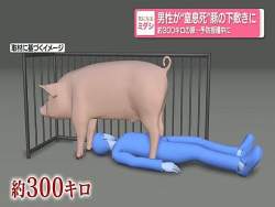 33818 B
